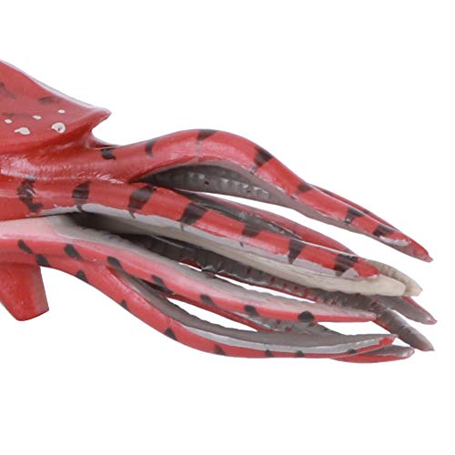 Image of Orthoceras Model Toy, Simulation Orthoceras Model Ornaments Desktop Decoration Ornament Children Toy (PL127-1526)