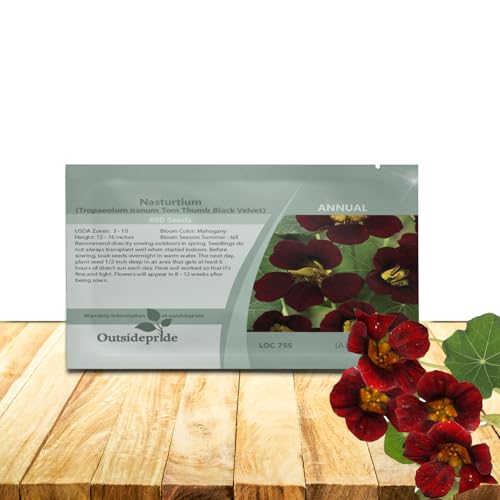 Outsidepride Tom Thumb Black Velvet Nasturtium Seeds - 200 Pcs Annual, Easy to Grow & Versatile...