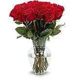 Stargazer Barn - 24 Stem Premium Red Roses (Includes Glass Vase) - Next Day Fresh Flower Delivery - Gift for Anniversary, Birthday, Congratulations, Get Well, Graduation, Sympathy, Valentine's Day