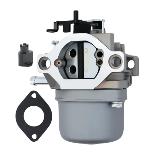 Carburateur pour retrouver une pelouse impeccable avec le moteur 495706