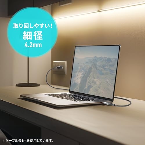 サンワサプライ(Sanwa Supply) USB Type-C LAN変換ケーブル KB-SL6CLAN03BK の商品画像 19
