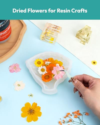 Image of Dried Flowers, Resiners 100Pcs Fall Pressed Flowers for Craft Real Natural Dried Flowers Dry Leaves Kit for DIY Making Crafts Resin Soap Candle Scrapbook Supplies Card Making Jewelry