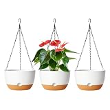 Lookat Hanging Planters, 3 Pack, Self-Watering, 10 Inch, White