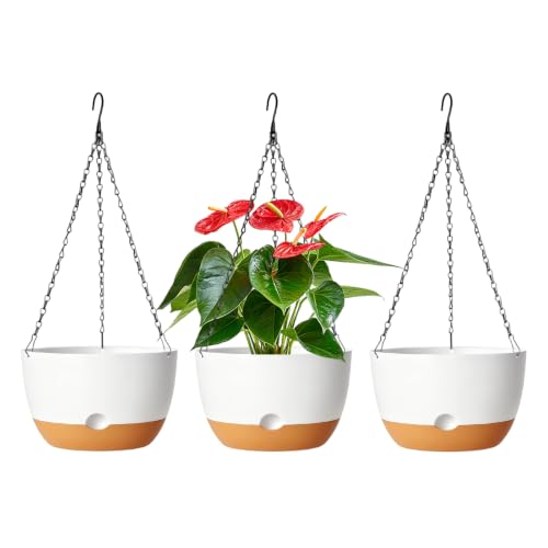 Lookat Hanging Planters, 3 Pack, Self-Watering, 10 Inch, White