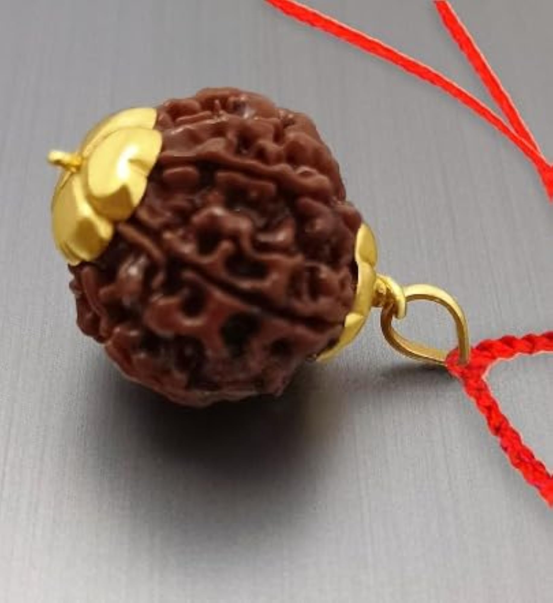 5 Mukhi Rudraksha, Certified Original