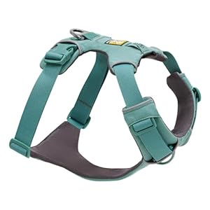 Ruffwear, Front Range Dog Harness, Reflective and Padded, No Pull Harness for Training and Everyday, River Rock Green, Small