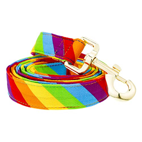 Image of Tunkoo Rainbow Dog Leash LGBT Flag - Stylish, Safe, Comfortable for Small Medium Large Dogs Pets Daily Walking M