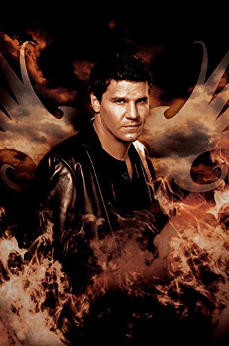 david boreanaz 1134 x1734 ab the vs mini poster jb