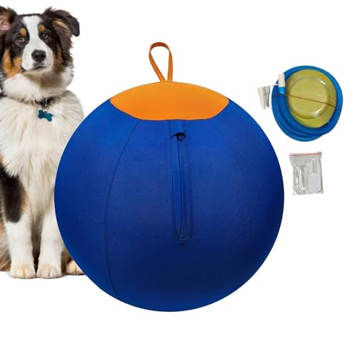 Générique Grosse Balle pour Chien,Gonflable avec Pompe, Accessoire pour Chien - pour Chiot, Petit, Moyen, Grand | pour Chiot et Adulte, Petites Moyennes...