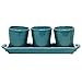 MyGift® Farmhouse Turquoise Ceramic Mini Plant Pot Set with Handled Display Storage Tray, Small Decorative Succulent, Cactus and Herb Planter, 4 Piece Set