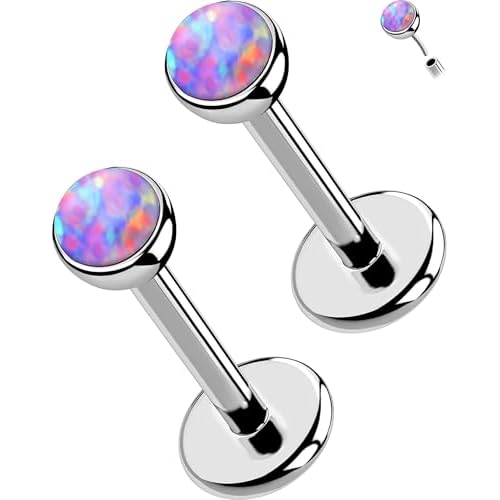 OUFER 2PCS 16G/20G Nose Lip Studs, G23 Solid Titanium Threadless Push in Nose Nostril Lip Labret Medusa Monroe Helix Cartilage Tragus Conch Lobe Piercing Jewelry for Women Men Silver bar,Pur