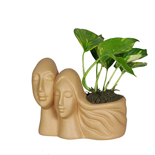 Image of Lasaki Couple Ginger Ceramic Pots for Indoor Plants, Planters, Flower, Pots, gamla, Outdoor, Balcony, Home, Garden, Office Decor, Succulent Pot(L - 16 X W - 10 X H - 14.5 cm)(Plants not Included)