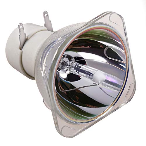 Image of Araca BL-FU195A /BL-FU195B /BL-FU195C /BL-FU190E /RLC-100 /5J.J9R05.001 Replacement Projector Bare Lamp for HD142X HD27 EH345 H183X TW342 S341 S340 DH1011 EH300 HD2500 PJD7828HDL PJD7720HD MX570 MX525