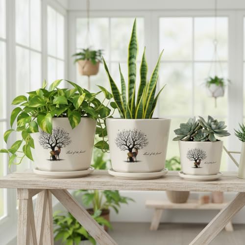Image of Xtore Graceful Tree Motif Ceramic Planter Pots Set of 3 with Drainage Tray | Decorative Indoor Plant Holders for Living Room, Balcony & Office Desk Styling (Cream, 16.7 /14 /11 cm)