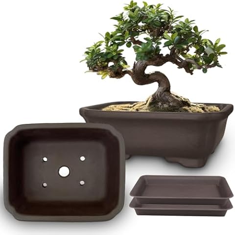 MUZHI 2PACK Ceramic Bonsai Pots with Trays Cover