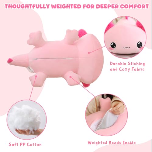 Xfrog Weighted Axolotl Plush, Large Stuffed Animal for Her, Pink Axolotl Stuff Toy Cute Hugging Throw Toys for Boys Girls Girlfriends 25CM - Image 3