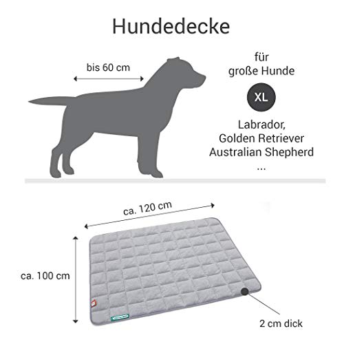 Doctor Bark Hundedecke Fleece Wendedecke - Flauschige, robuste Hundematte für große Hunde. waschbar bis 95°C - hochwertige Indoor/Outdoor Liegedecke (XL - 120x100 cm, Hellgrau/Hellgrau)