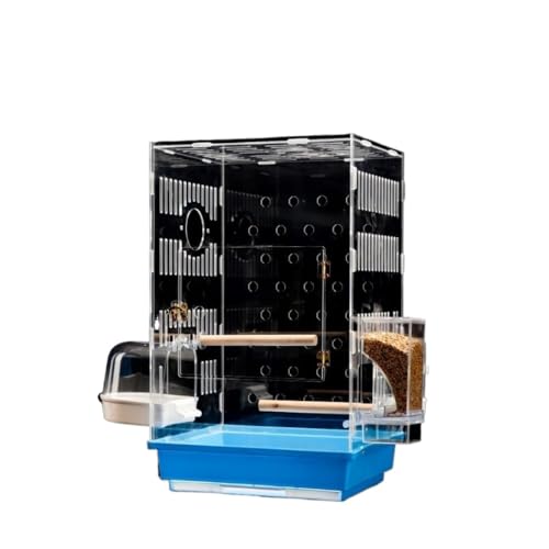 Kwueiit    IE  pm} AN P[W h ӏ ʑ z[  W P[W ()