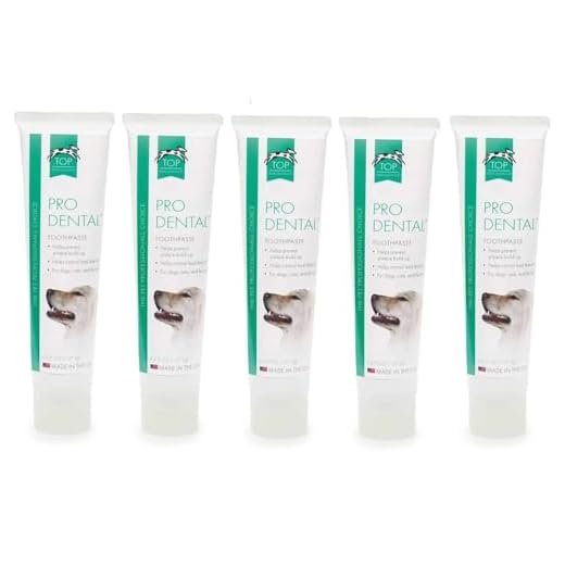 Beef Flavor Dog Dental Care Paste