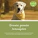 tierlieb Immunkomplex-Hunde-Tabletten | Mit Colostrum, Kurkuma, Cistus & Zink | Ergänzungsfuttermittel | 180 Tabletten
