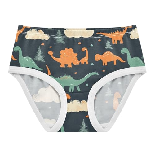 Wusikd Dinosaurs Clouds Girls' Underwear Cotton Trees Black Girls Briefs Soft Toddler Underwear 2T