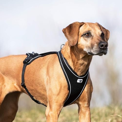 Belka Comfort Harness Brown XS