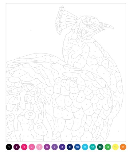 The Joy of Colouring By Numbers