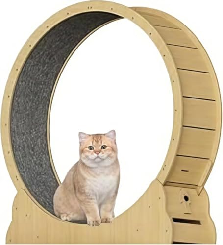 Zxyler キャットホイール 猫の車輪・回し車 猫用エクササイズホイール 低騒音設計 らくらく組立式 ペット用ルームランナー 猫用おもちゃ 室内用