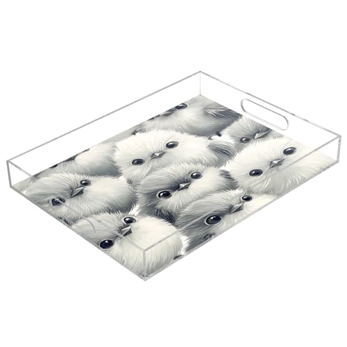 Msyxl Cute Birds Serving Tray for Coffee Table, Decorative Acrylic Tray Cute Birds Tray with with Handles for Breakfast, Ottoman, Countertop, 12x16 in