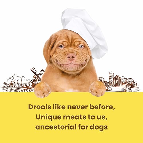 Image of Barkbutler x Dogfest Meat Sticks Duck, Dog Treat Combo Pack (45gx2)| Protein Packed, Made with Natural Ingredients|0% Artificial Flavours, Colours or Preservatives|Select Grade, for All Adult Breeds