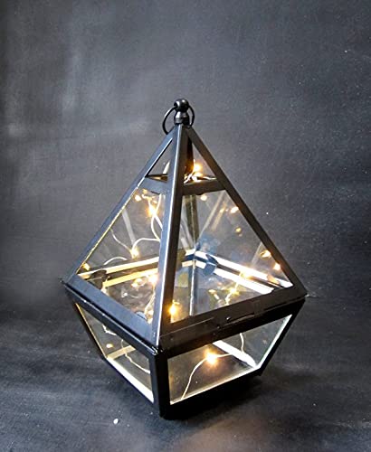 Image of Metal /Glass / Multipurpose Flower Vases for Home Decor (Black Terranium Vase)