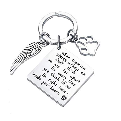 best gifts for pet owners