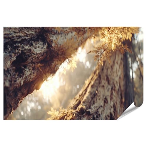 islandburner Poster de qualité supérieure - Géants du Redwood - Décoration murale pour salon - Pour les amoureux de la nature - Standard
