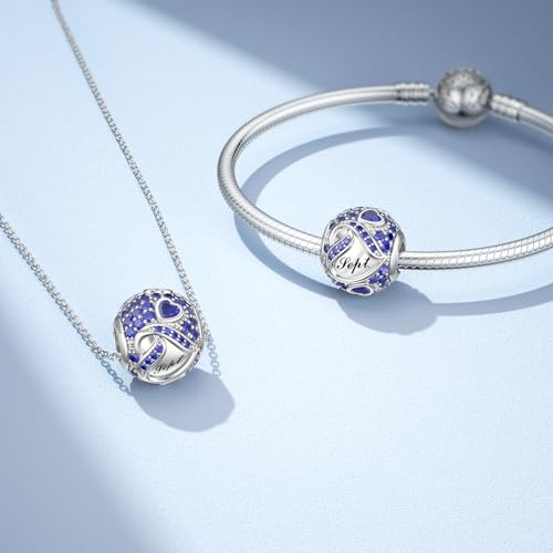 JIAYIQI Birthstone Charms for Bracelet Necklace 925 Sterling Silver Bead Love Heart Charms Happy Birthday Charms for Women2