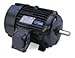 Leeson Electric, 825087.00, 5HP, 1755RPM, 3PH, 230V;460V, 184T Frame, Standard Flange, Foot Mount, TEFC, Explosion Proof Motor