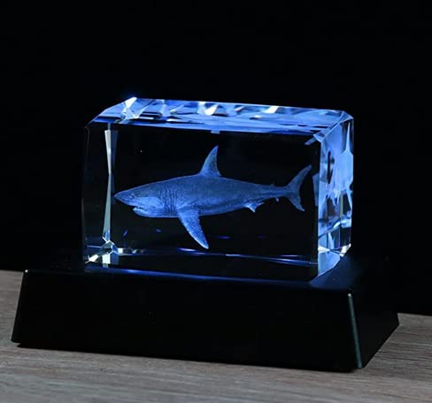 Regalo de cristal 3D grabado de tiburón, regalos para los amantes de los tiburones, adornos de figuras de tiburón de cristal con soporte LED colorido para el hogar, regalos de cumpleaños de tiburón