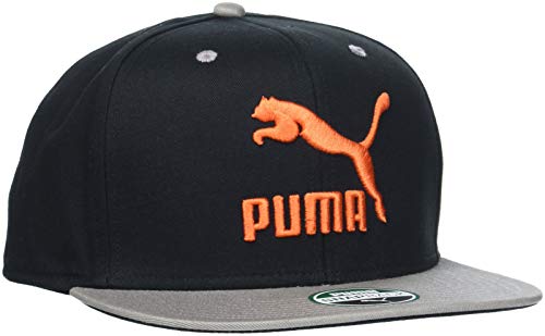 Preisvergleich Produktbild PUMA Erwachsene LS Colourblock Cap Kappe, Black-Elephant Skin, Adult