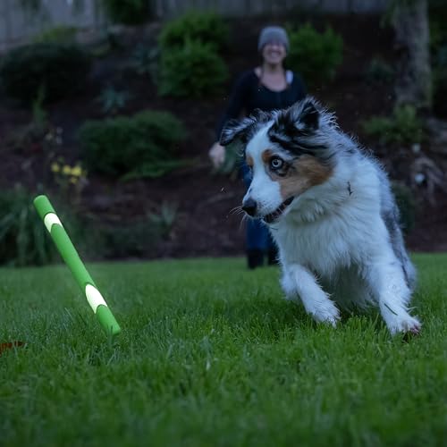 Image of Chuckit! Interactive Dog Toy Ultra Fetch Stick Day & Night Bundle, 12 Inches, Outdoor, Pack of 2