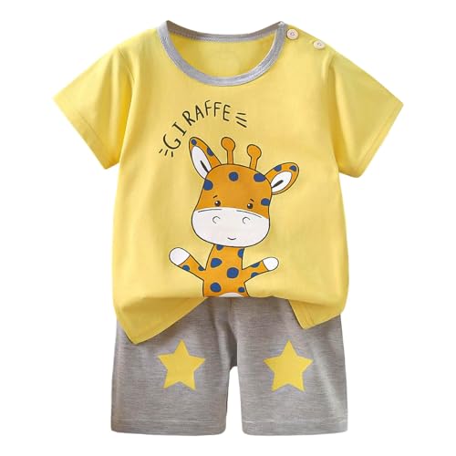 Toddler Boys Kids Clothes Dinosaur Printed Short Sleeve Crewneck Shirts and Shorts Sets Summer Soft 2 Piece Outfits