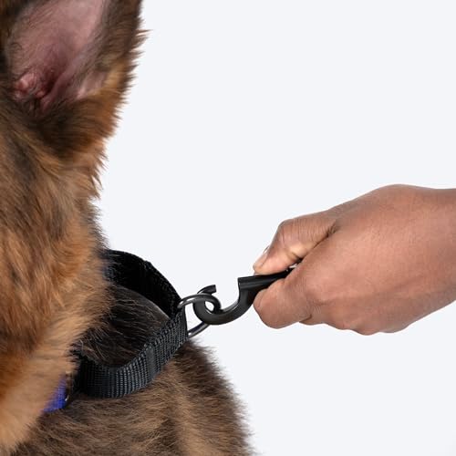Image of HUFT Martingale Collar - Cobalt Blue & Classic Black (M) | Stylish Adjustable Dog Belt for Puppies, Small & Medium Dogs | Durable Neck Collar for Walking, Training & Everyday Use