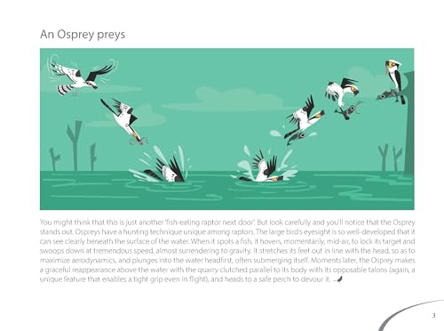 Image of Bird Business
