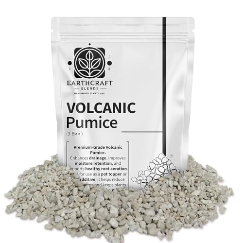 Volcanic Pumice for Plants Natural Plant Pot Topper to Stop Fungus Gnats Improve Drainage & Decorate Soil Ideal for Cacti Succulents Bonsai & Houseplants (1 Litre Resealable Bag)