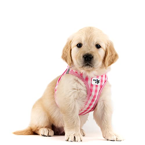 Vest Harness curli Clasp Air-Mesh Pink-Caro XS & Leash M