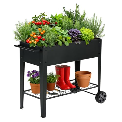 FOYUEE 31.5' Tall Raised Garden Bed with Wheels, Extra 15.7' W Planter...