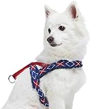 Clip arrière pour laisse : idéal pour la promenade quotidienne du chien, le jogging, la randonnée, etc