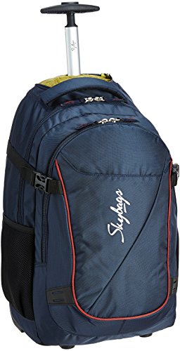 skybags 40l backpack