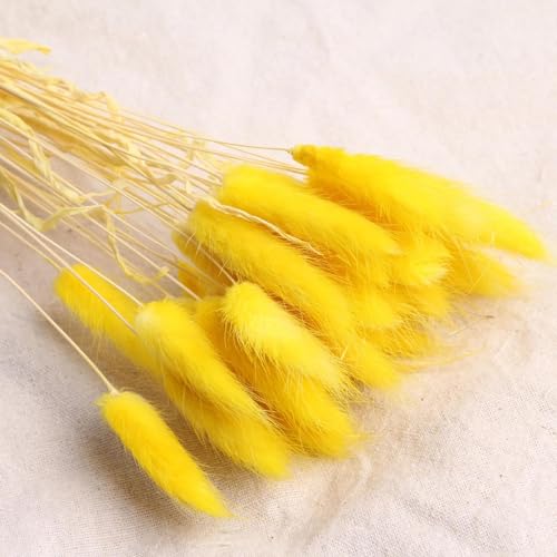 Pampas Grass Decor Tall 50Pcs Ramo Flores Secas Amarillo miniatura 1