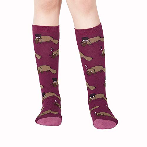 Sock It To Me, Youth Knee-High Socks, Plati-tude
