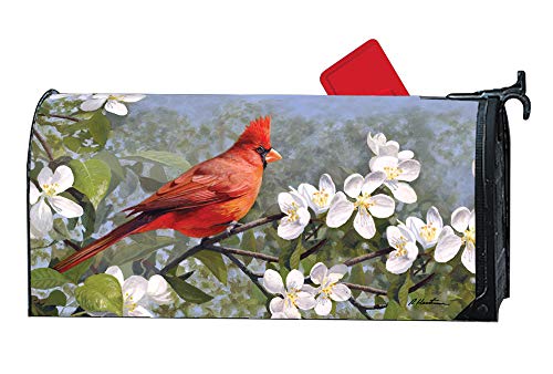 Studio M Cardinal in Blossoms Decorative Spring Summer Birds MailWrap, The Original Magnetic Mailbox Cover, Made in USA, Superior Weather Durability, Standard Size fits 6.5W x 19L Inch Mailbox