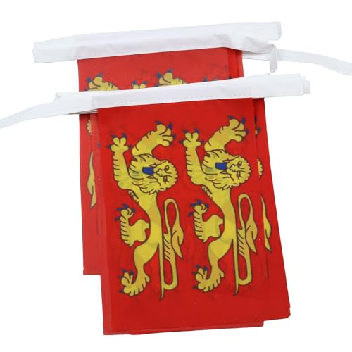 AZ FLAG - Guirlande Drapeau Basse-Normandie - 6 Mètres Avec 20 Fanions Bas-Normand - France De 21x14 cm - Petits Drapeaux 100% Polyester - 60g